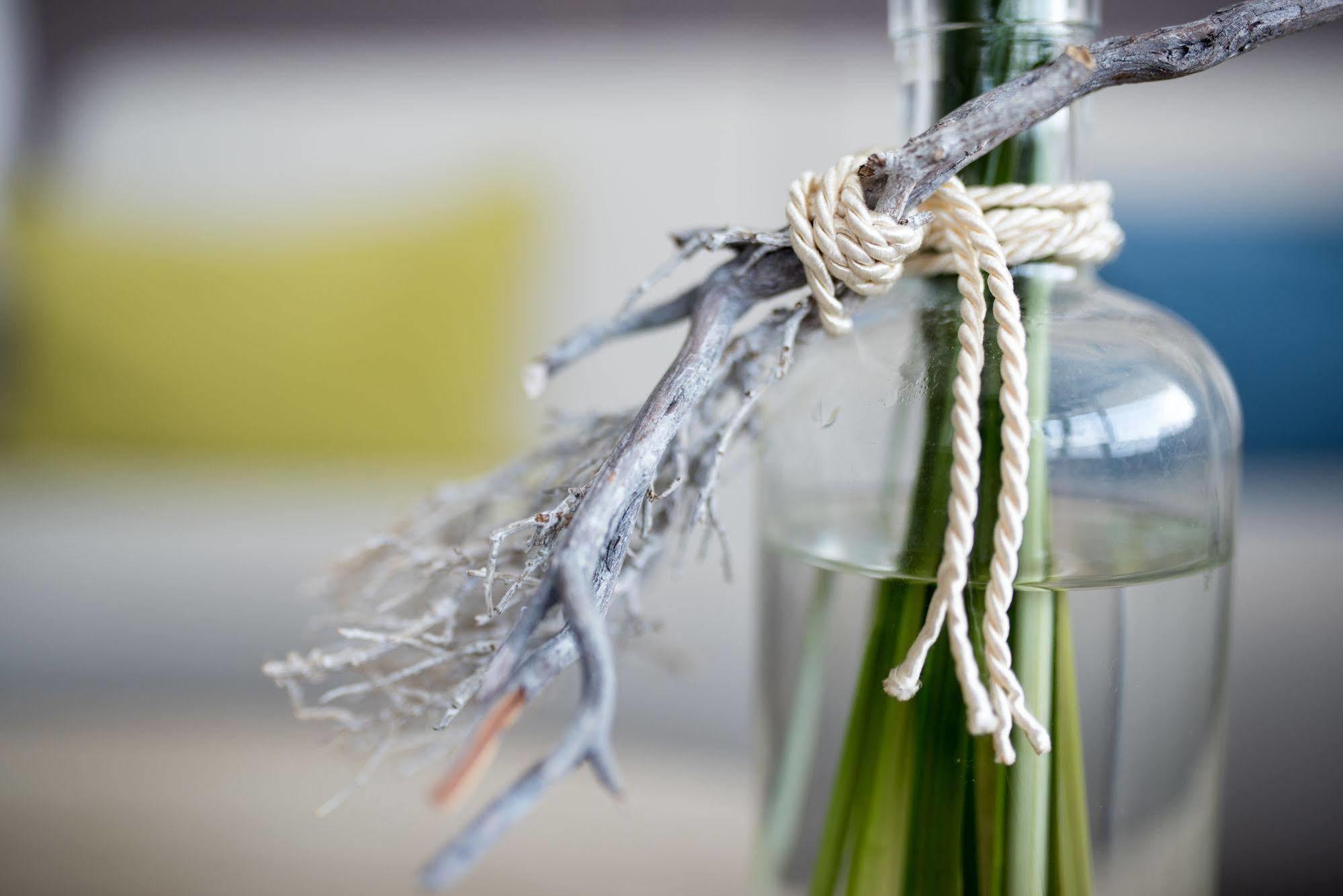 Hotel Neptun Rostock Exterior photo The photo shows a decorative glass bottle with a handle made from a piece of driftwood or twig. The handle is tied with a light-colored rope, adding a rustic touch. The bottle contains what appears to be green foliage or stems, and it is placed again