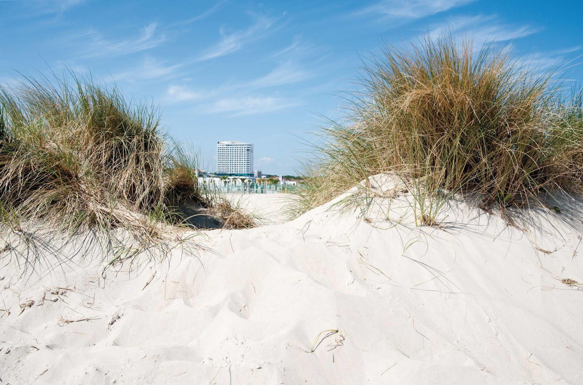 Hotel Neptun Rostock Exterior photo The photo shows a sandy beach scene with tall grass growing in the foreground. Beyond the grass, there appears to be a beach area, and in the background, there is a tall building visible against a clear blue sky with some wispy clouds. The overall at